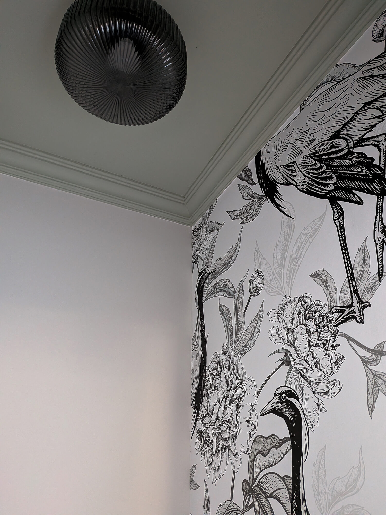 Rénovation d’une maison meulière à Bonnières, retrouver le charme de l’ancien, toilettes avec papier peint oiseaux en noir et blanc et plafond vert